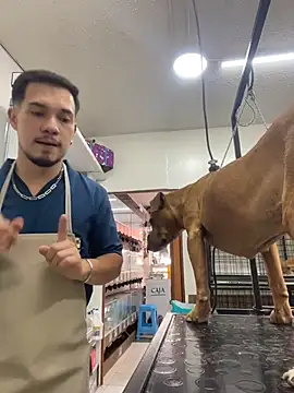 Leonardmoppet online show from 11-05-25, 07:14