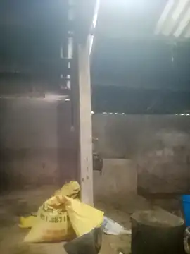 Myzak- online show from 10-18-25, 11:38