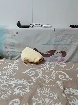 Snapshot of caige8888 chatting on 11-17-25, 11:05 caige8888 online show from 11-17-25, 11:05