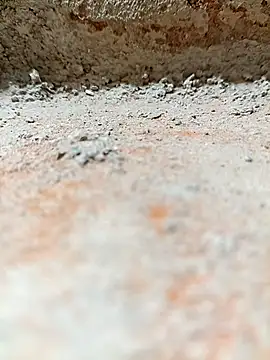 Snapshot of Rajni_chauhan chatting on 11-02-25, 08:11 Rajni chauhan online show from 11-02-25, 08:11