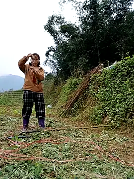 omai-ngot online show from 11-17-25, 02:17