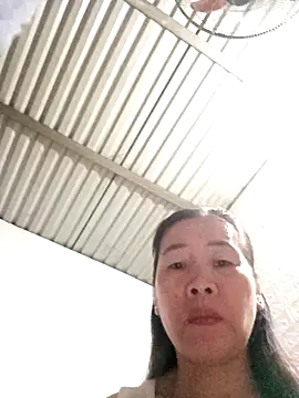 Snapshot of tabby-cat11 chatting on 11-03-25, 01:51 tabby-cat11 online show from 11-03-25, 01:51