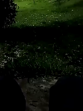 Snapshot of roludao_fun chatting on 11-10-25, 10:42 roludao fun online show from 11-10-25, 10:42