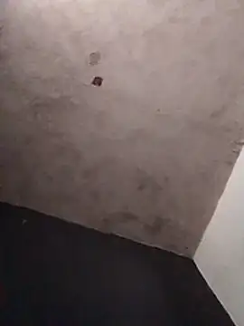 Orlao25cm online show from 03-25-26, 09:32