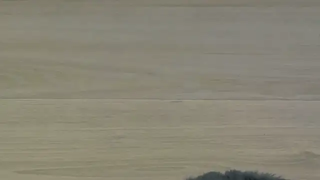 KimWilmes online show from 12-14-25, 04:40