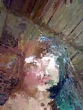 Snapshot of Squirrel-Pear chatting on 11-08-25, 01:00 Squirrel-Pear online show from 11-08-25, 01:00