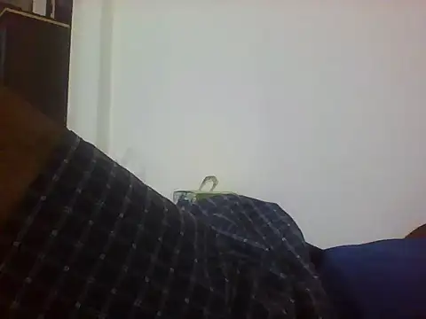 sugar seeker online show from 11-12-25, 03:01