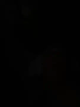 wellingtonmds online show from 02-07-26, 01:26