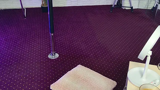 Snapshot of IvorySwan chatting on 11-03-25, 05:52 IvorySwan online show from 11-03-25, 05:52