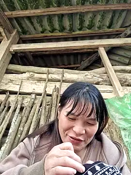 chipu06 online show from 11-15-25, 03:37