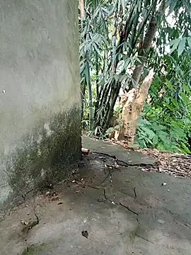 Snapshot of Bear_bear0 chatting on 11-08-25, 01:50 Bear bear0 online show from 11-08-25, 01:50