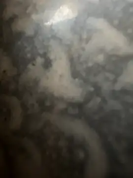 bart98geil online show from 02-16-26, 07:26