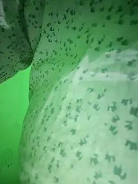 Snapshot of IamRamesh chatting on 10-28-25, 01:25 IamRamesh online show from 10-28-25, 01:25