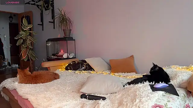 Snapshot of Lin_Cherie chatting on 11-20-25, 11:21 Lin Cherie online show from 11-20-25, 11:21