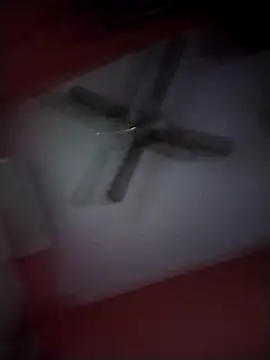 Danii2005 online show from 11-25-25, 08:09