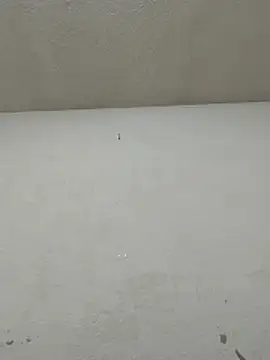 Chicattoo69 online show from 11-20-25, 06:07