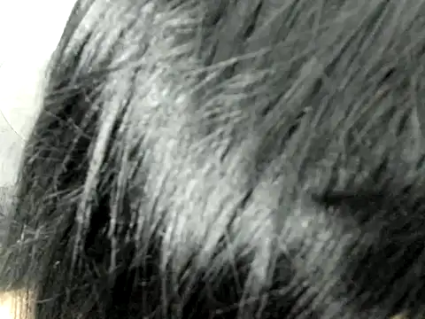 Snapshot of Amminna chatting on 11-29-25, 12:35 Amminna online show from 11-29-25, 12:35