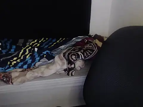 Snapshot of Negritatata chatting on 11-28-25, 11:13 Negritatata online show from 11-28-25, 11:13