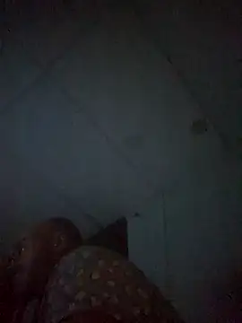 Snapshot of BulbasaurIsmettv chatting on 11-12-25, 06:47 BulbasaurIsmettv online show from 11-12-25, 06:47