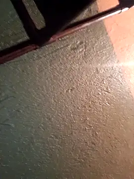 Elvergon22546 online show from 11-17-25, 05:08