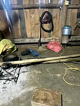 nachi-baby online show from 12-14-25, 08:52