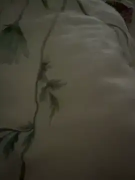 Snapshot of Jackoff2345 chatting on 11-10-25, 05:56 Jackoff2345 online show from 11-10-25, 05:56