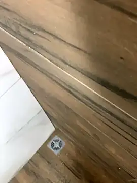 Snapshot of bfelipedasilva chatting on 10-25-25, 03:25 bfelipedasilva online show from 10-25-25, 03:25