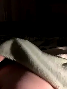 Snapshot of bfelipedasilva chatting on 10-28-25, 01:31 bfelipedasilva online show from 10-28-25, 01:31