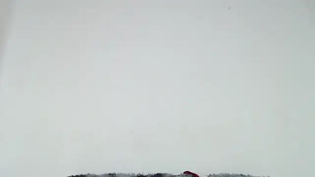 Snapshot of Mia_fox29 chatting on 10-31-25, 01:01 Mia fox29 online show from 10-31-25, 01:01