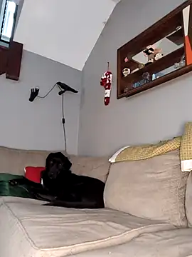 Snapshot of mattiethebaddieee chatting on 11-30-25, 08:35 mattiethebaddieee online show from 11-30-25, 08:35