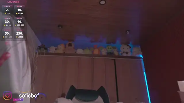 sofi sc online show from 11-09-25, 02:26