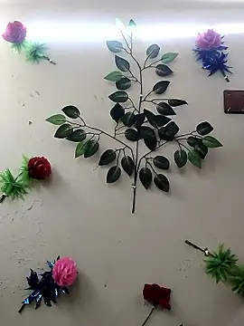 Indian-Glory online show from 01-14-26, 08:47