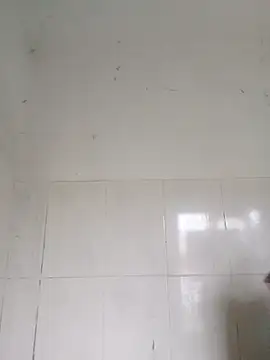 bella-la online show from 02-12-26, 01:00