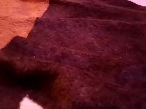 bigtelugubhama online show from 02-07-26, 08:23