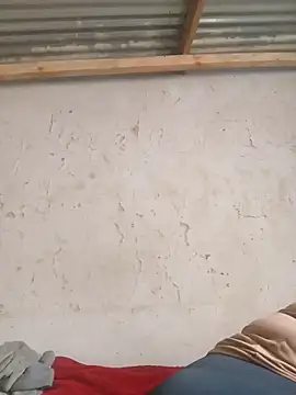 3bigcuteness online show from 11-14-25, 10:03