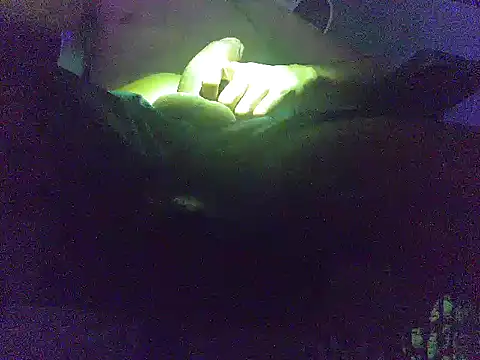 Snapshot of analice32456 chatting on 03-03-26, 06:52 analice32456 online show from 03-03-26, 06:52