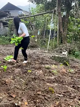 Snapshot of heodat-sexx chatting on 12-20-25, 09:38 heodat-sexx online show from 12-20-25, 09:38