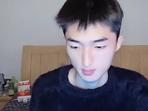 Snapshot of N228 chatting on 11-08-25, 09:09 N228 online show from 11-08-25, 09:09