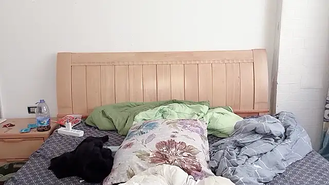 Snapshot of N228 chatting on 12-05-25, 06:55 N228 online show from 12-05-25, 06:55