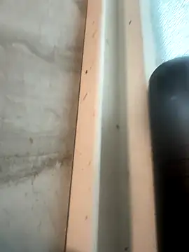 Snapshot of RobsBigD chatting on 10-30-25, 06:19 RobsBigD online show from 10-30-25, 06:19