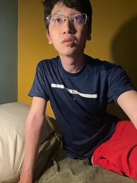 NerdyAsian1701 online show from 11-20-25, 04:12