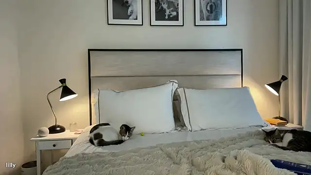 Snapshot of Itslillybloom chatting on 11-07-25, 04:23 Itslillybloom online show from 11-07-25, 04:23