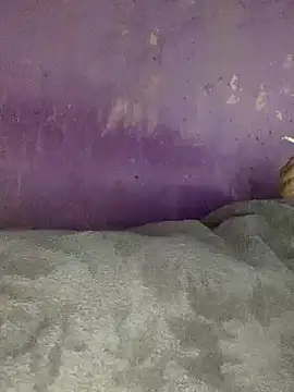 Snapshot of hotman29 chatting on 11-26-25, 11:06 hotman29 online show from 11-26-25, 11:06