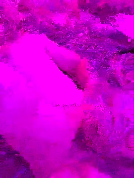 Snapshot of PitoDuroWuero chatting on 11-27-25, 11:34 PitoDuroWuero online show from 11-27-25, 11:34