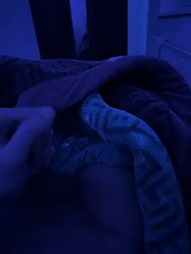 jafop098864 online show from 03-02-26, 03:20