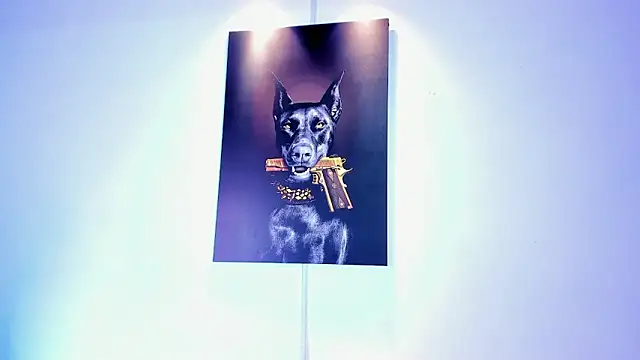 stiven 24cm online show from 11-15-25, 08:44