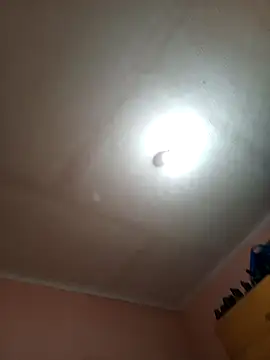 ey66gfdwwt online show from 11-15-25, 09:32