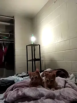 SITHANDRAH online show from 12-02-25, 11:45