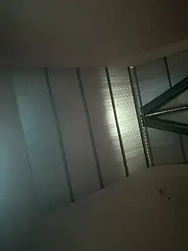 Dilen 7533 online show from 11-26-25, 12:55