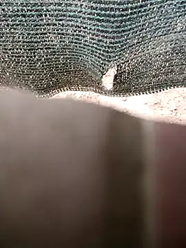 0281nosyehj online show from 02-14-26, 09:44